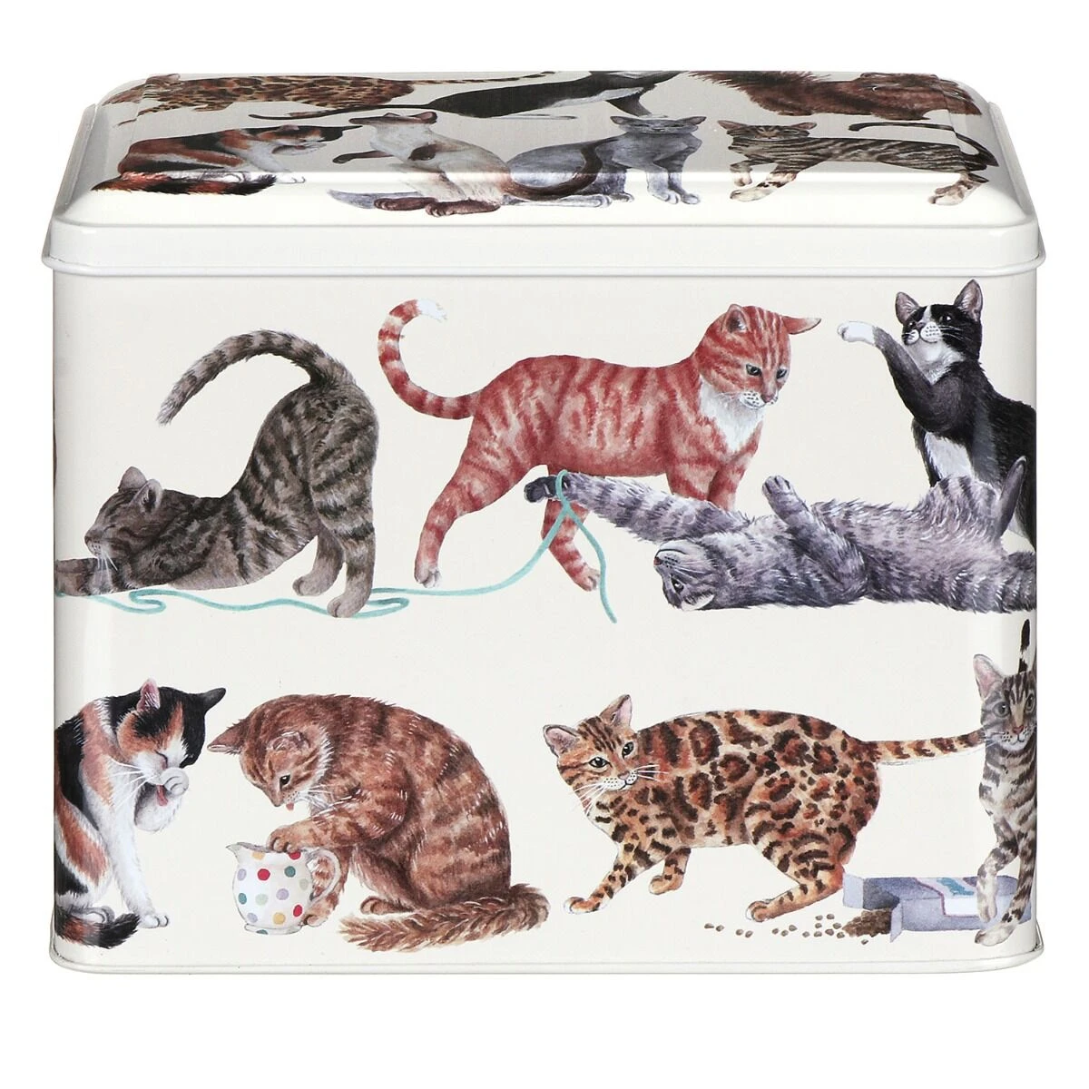 Emma Bridgewater Rectangular Cat Treat Tin 2 Emma Bridgewater Rectangular Cat Treat Tin - Image 2