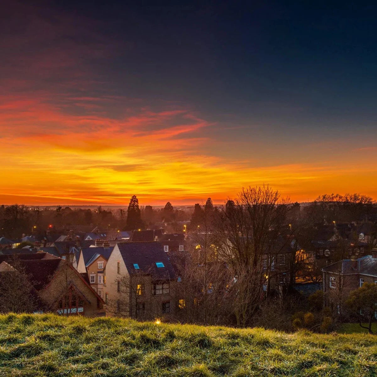 Home County Candle Co. The Cambridgeshire - Cassis & Black Vanilla Reed Diffuser 2 Home County Candle Co. The Cambridgeshire - Cassis & Black Vanilla Reed Diffuser - Image 2