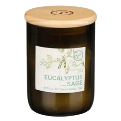 Home General Store 35 Paddywax Eco 226g Eucalyptus And Sage Green Recycled Glass Soy Candle