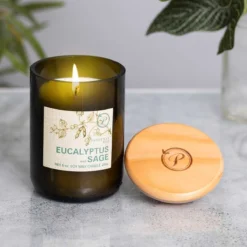 Home General Store -Home General Store paddywax eg13eu eco eucalyptus sage recycled glass candle lifestyle